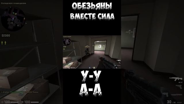 Обезьяны вместе сила