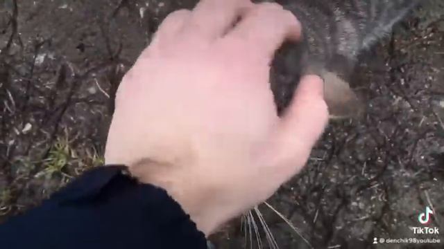 Укрощение строптивого 😂😂