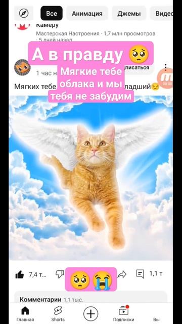 #хочувреки #правда #эмоции