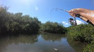 Tarpon Fishing in Marathon's Back Country 11-16-2022