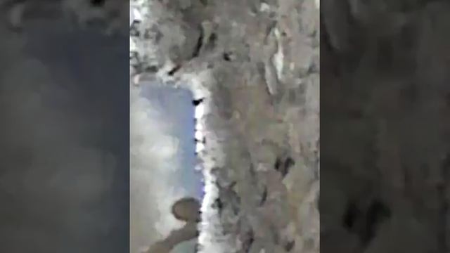 Пахотка в школьник