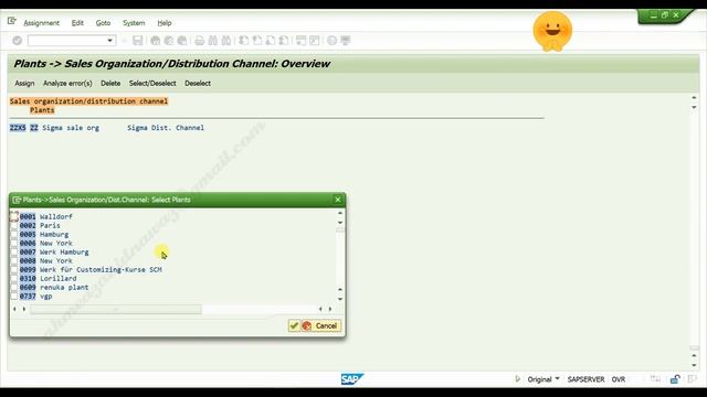 Assign sales organization and distribution channel to plant in SAP SD  -  SAP MM || Step 9