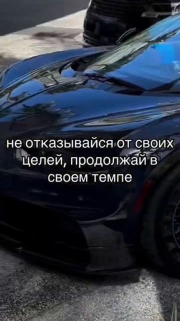 ищу тим по трейдингу,я новичок тг канал https://t.me/BinariumTeams