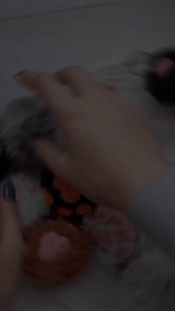 Пушистая кото-лапка ручной работы🐱