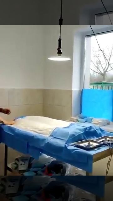 Специалисты из Новосибирска провели стерилизацию 230 собак из владикавказского питомника.