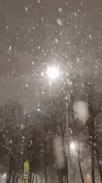 Снег в Москве