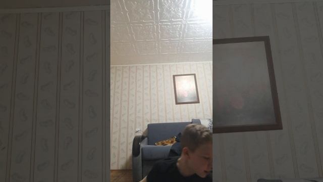 лавушка