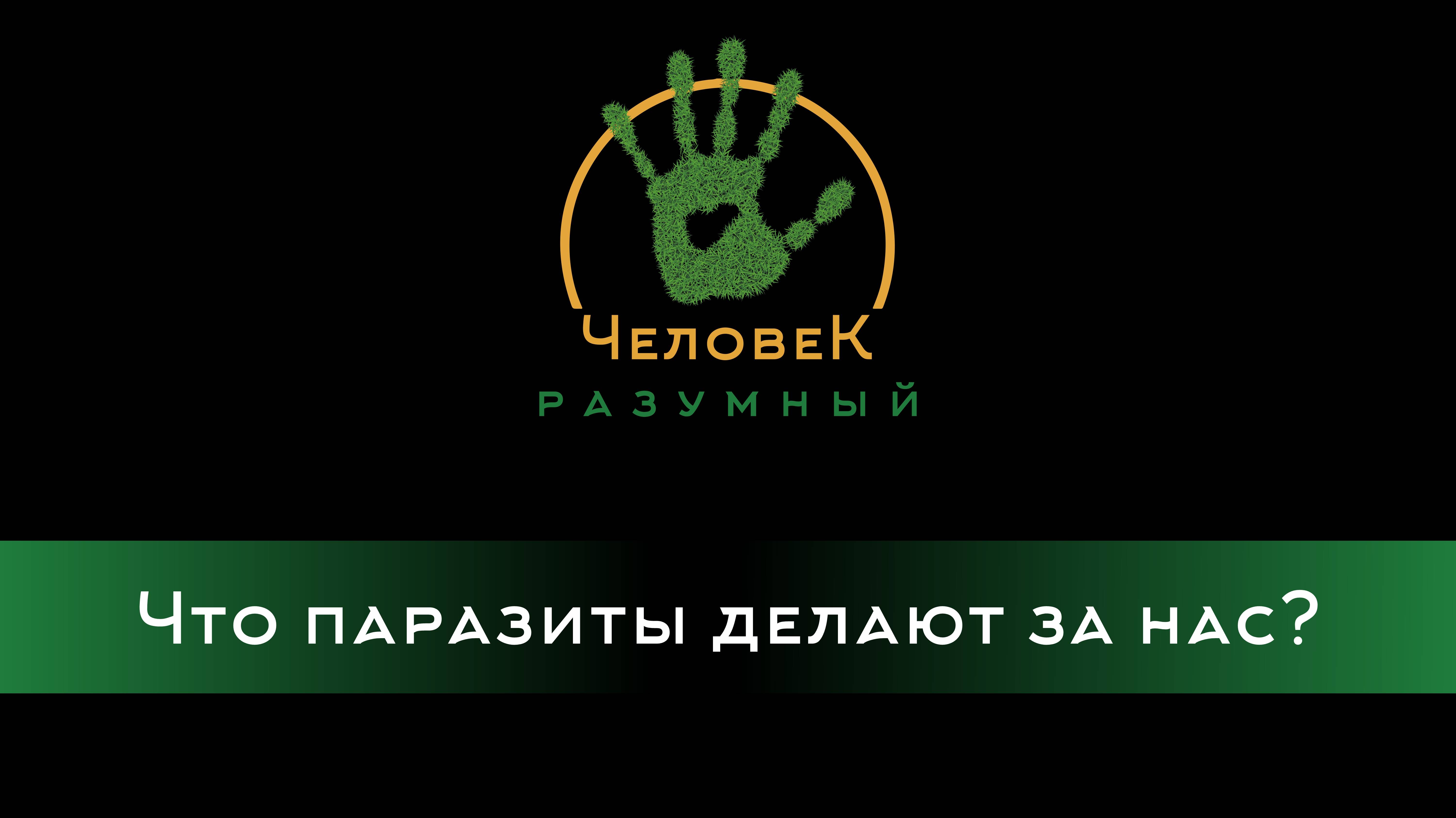 Что паразиты делают за нас? ("Человек-Разумный", 2013)