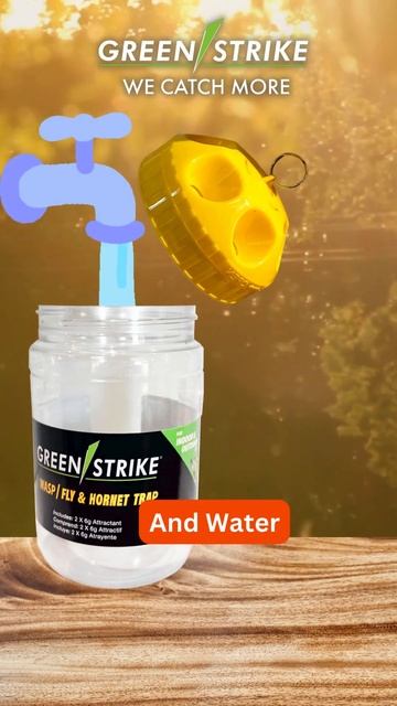 Eliminate Wasps, Flies, and Hornets with GREENSTRIKE