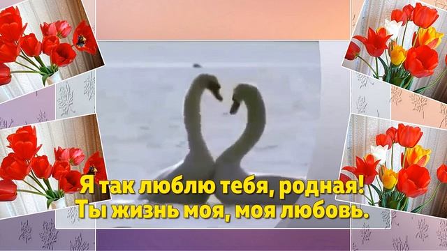 Любимая! Любимая! Для самой любимой! My love! For the most beloved!...