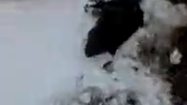 Зверюга.mp4