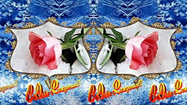 С Днём Рождения! Зимняя Сказка из Роз 9 от Киностудии Мудрого Кота Тимофея!!!