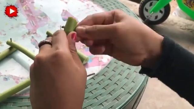 How to make mini Papaya House