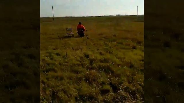 Может  чайку ?