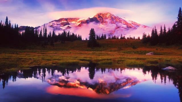 Линейные переходы