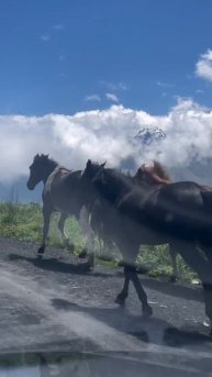 Осетия: история в каждом шаге, красота в каждом мгновении