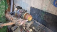 Woodturning A Neon Pencil Bowl