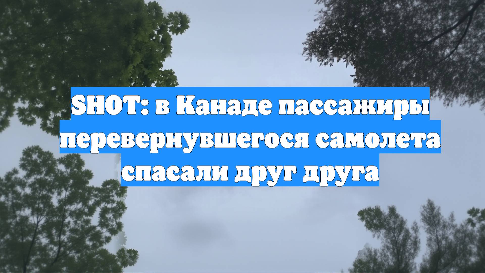 SHOT: в Канаде пассажиры перевернувшегося самолета спасали друг друга