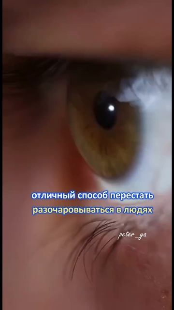 Надеяться только на себя