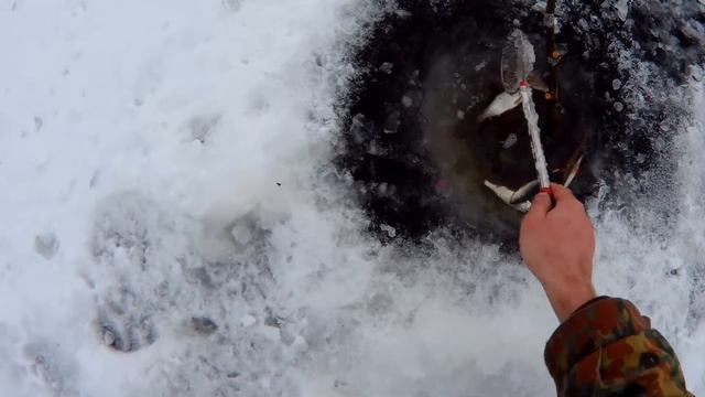 Жерлицы 2018 первая кровь