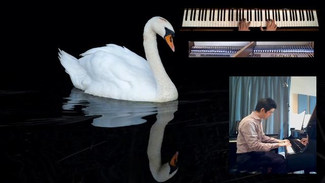 "The Swan" from Carnival of the Animals by Camille Saint-Saëns | A Contemporary Piano Arrangement