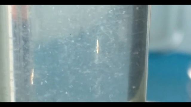 霞ヶ浦のプランクトン；ノロをスマホで撮った動画