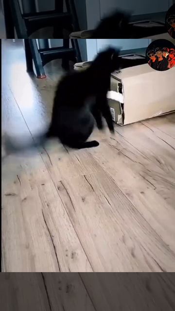 мэээм 2