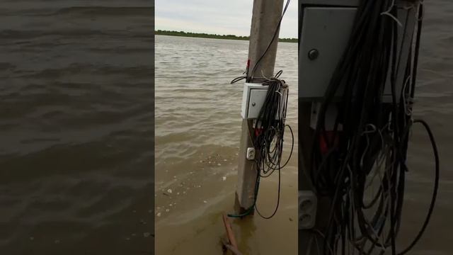 Ветлянка. 30.04.24 г. Пик прихода воды.