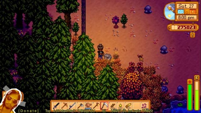 [Stardew Valley] 41 : นี่แซม หรือโงกุน หรือเต้าหมิงซื่อ ?