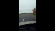 Тысячи ворон