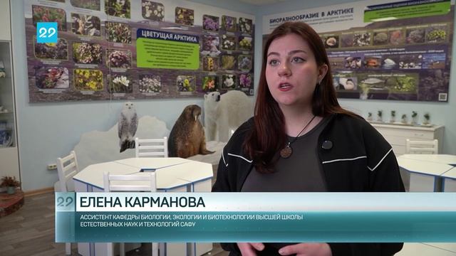 19.02.2025 Всемирный день защиты морских млекопитающих