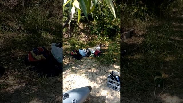 2d24f371-8153-4109-a489-ef15bcbc008b-1_all_54.3gpp