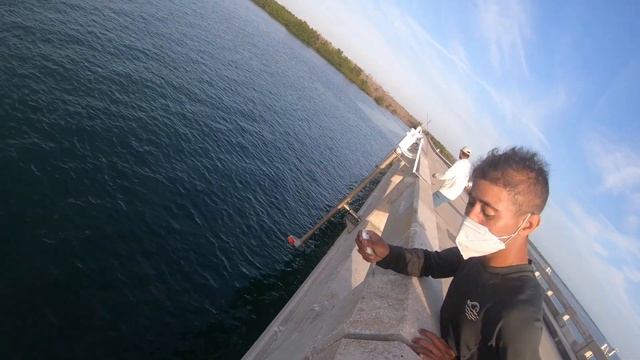 7 Mile Bridge MONSTER On A 4/0 ~Gator In My Mullet Spot ~HOW TO Catch Fish when it’s windy