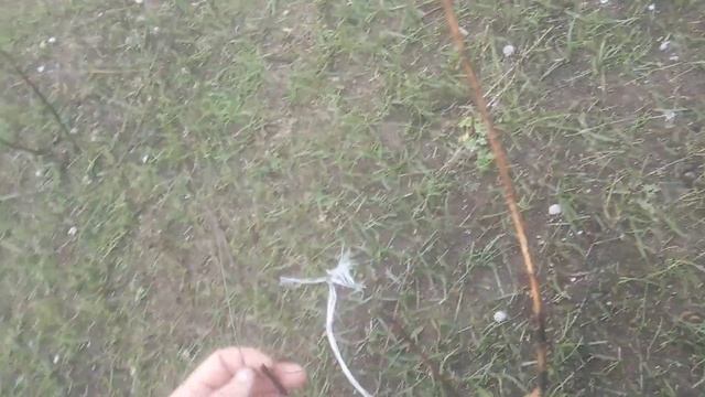 Проверка Петель на Зайца в Туман Петля сработала но Зайчик Сбежал🐰🐇