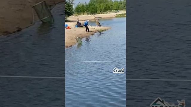 Обстановка на водоеме.@РК «Чайка».
