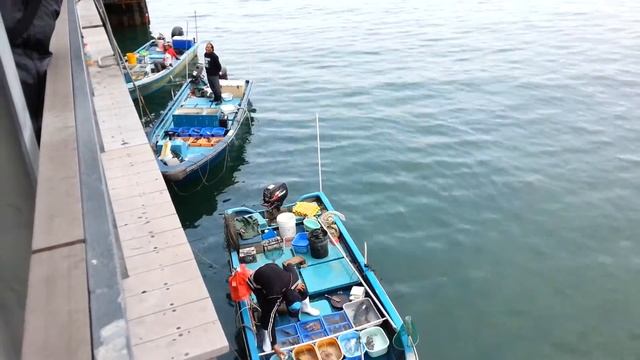 Sai Kung, Hong Kong (Seafood Market) - 01
