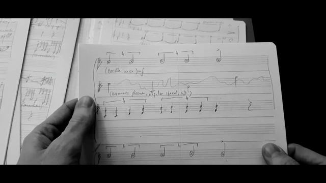 Michele Marelli FLUMETASONE (2020) for viola trio
