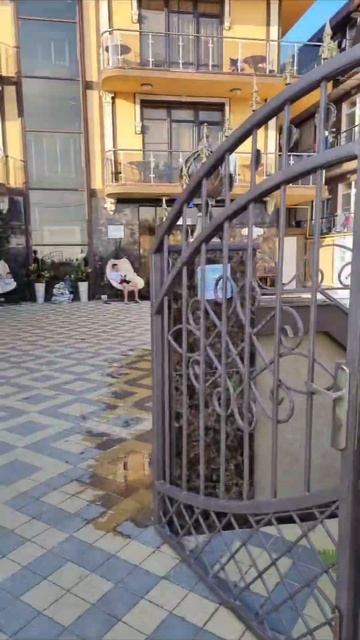 отель "Идеал" п.Витязево