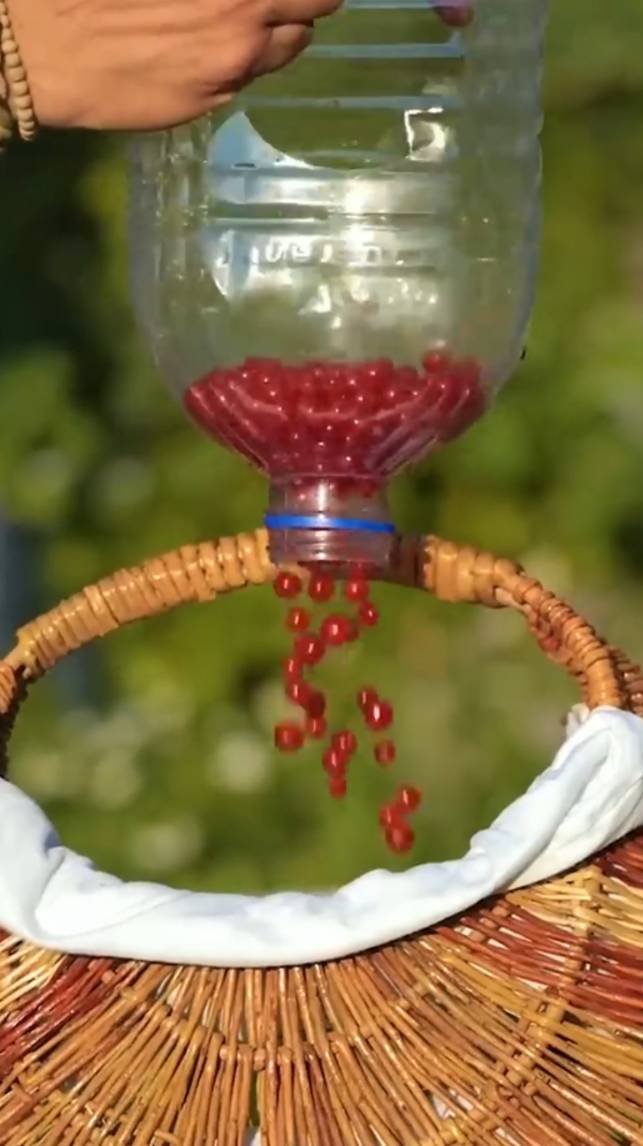 🍒Хитрые устройства для сбора ягод! #shorts #garden #советы