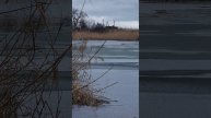 В Анапе мороз! озеро замерзло😱