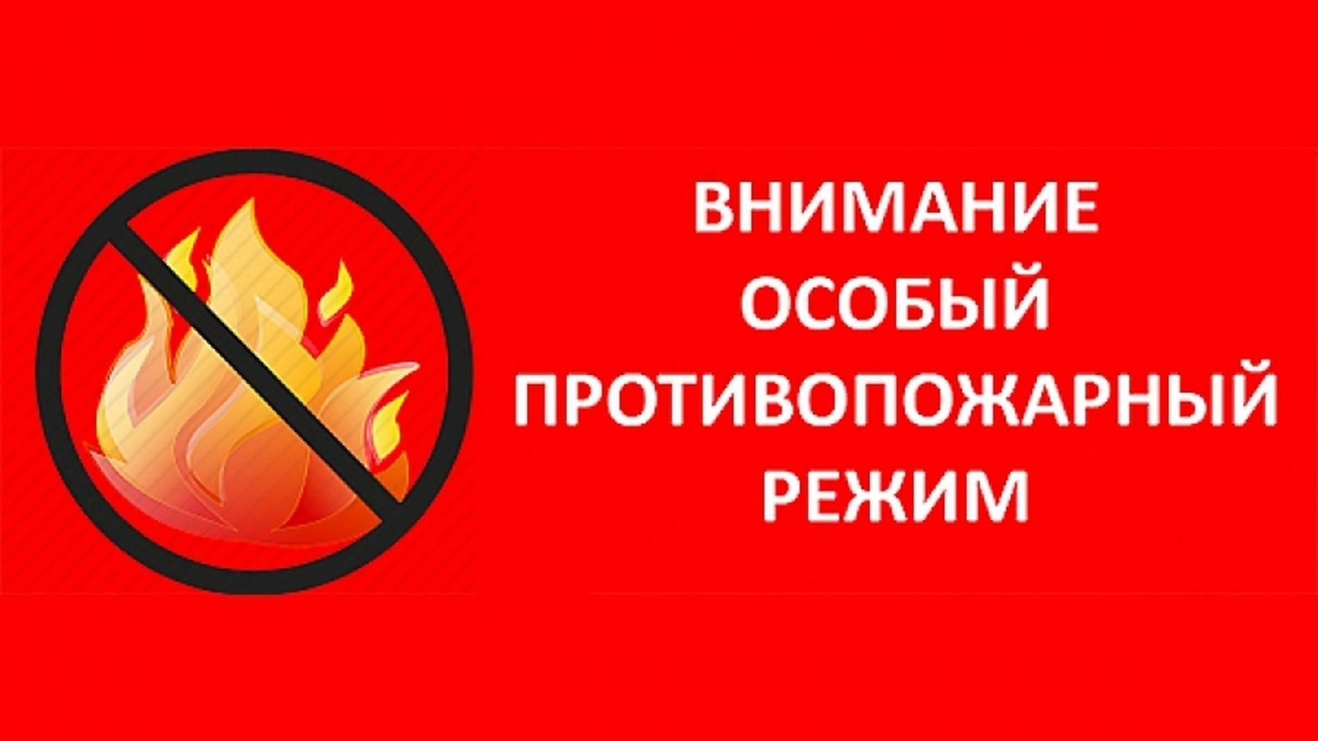Особый режим. ТК «Первый Советский»
