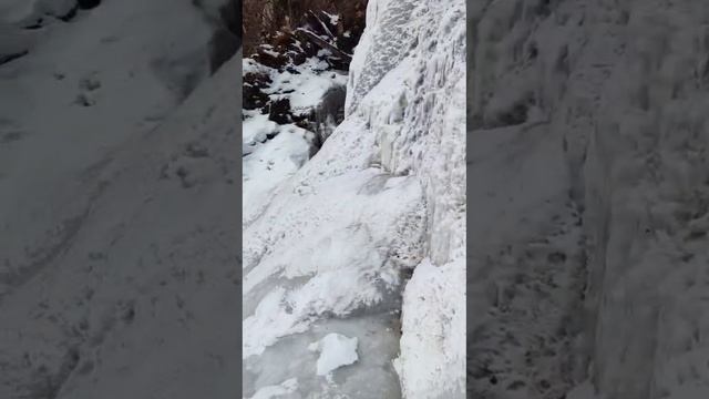 Поход к водопаду с Галиной 11.02.25.
