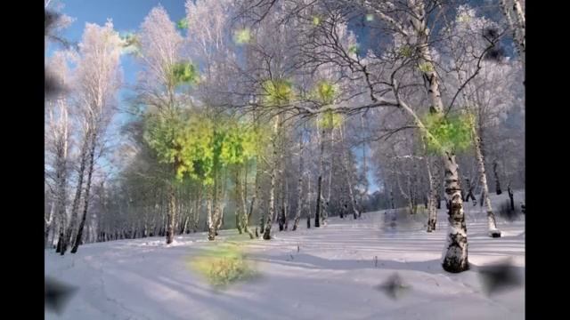 Песня "БЕРЁЗЫ"