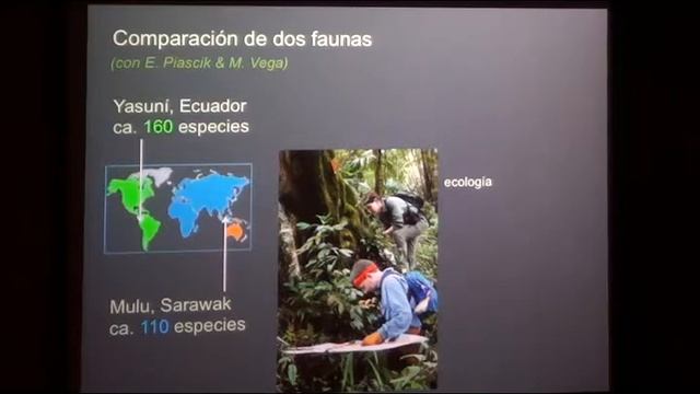 La música de arañas saltarinas  (Dr. Wayne Maddison), Instituto de Biología, UNAM