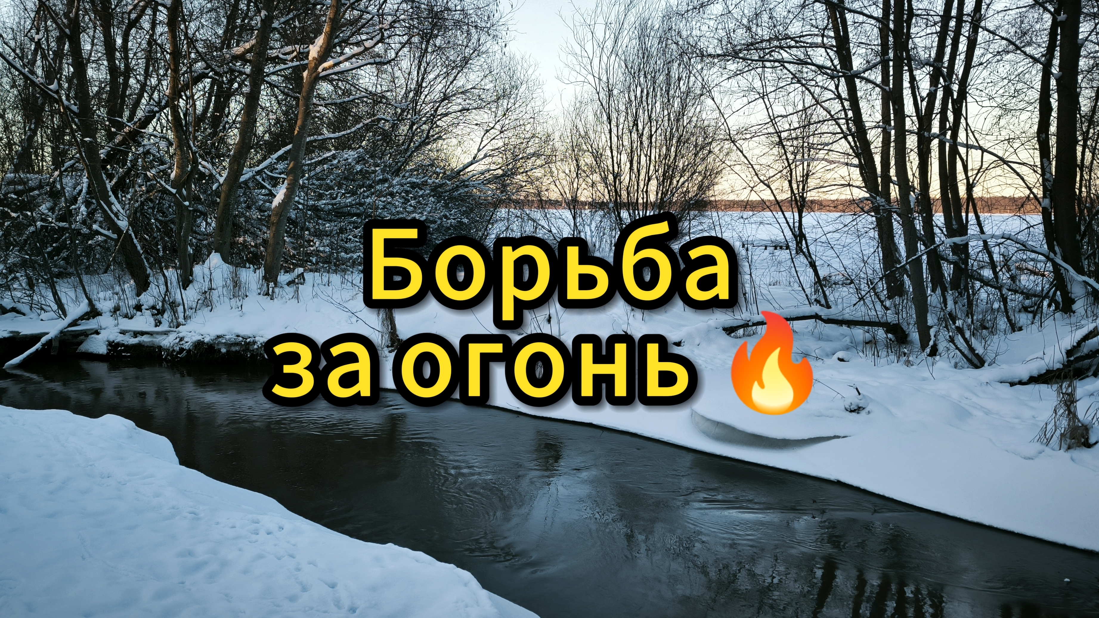 Не ходи в лес не посмотрев это видео!