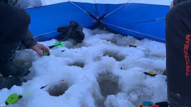 Чуть не сдуло ветром! Или особенности ловли корюшки на Белом море