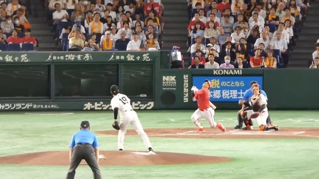 カープ7連勝！アドゥワがプロ初完封勝利、小園が先制打に野間が追加打！ダメ押しの坂倉＆末包はアベック弾！広島カープ勝利現地ハイライト！広島5-0巨人 2024年8月6日