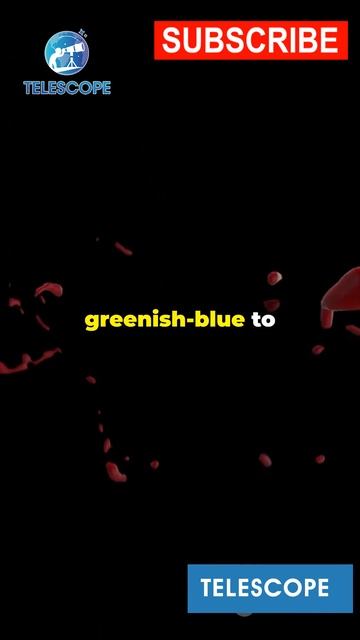 BODY AFTER DEATH #youtubeshorts #sciencefacts #school