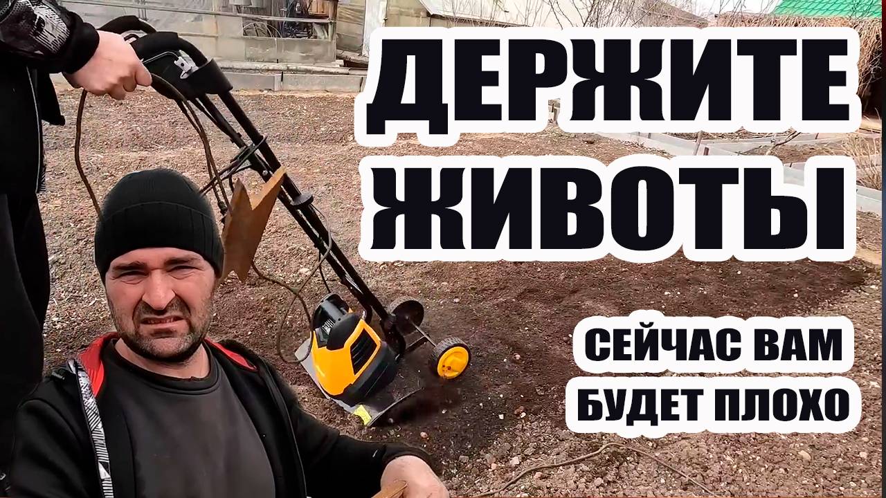 ОЛЬГА УРАЛОЧКА LIVE | Держите животы! Сейчас вам будет плохо! | Музыкальный обзор