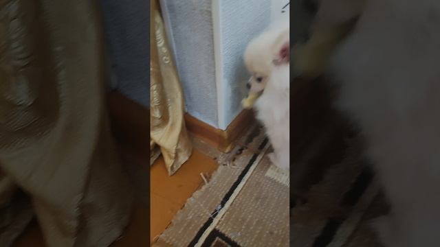 1000612686.mp4